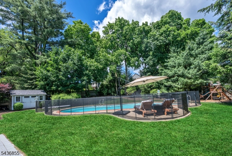 Pool and Yard