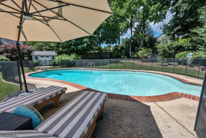 Pool and Yard