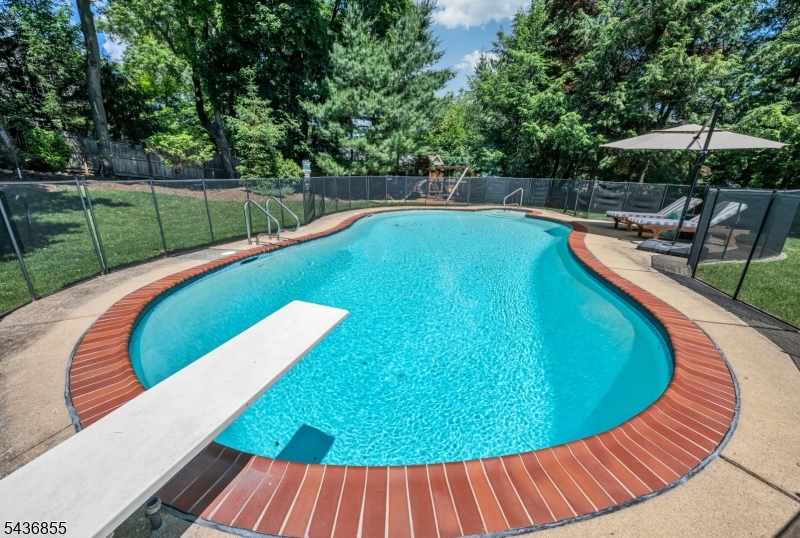 Pool and Yard