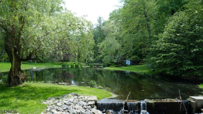 Serene Pond