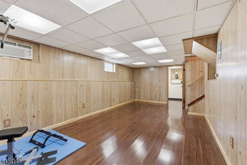 Basement/Rec room