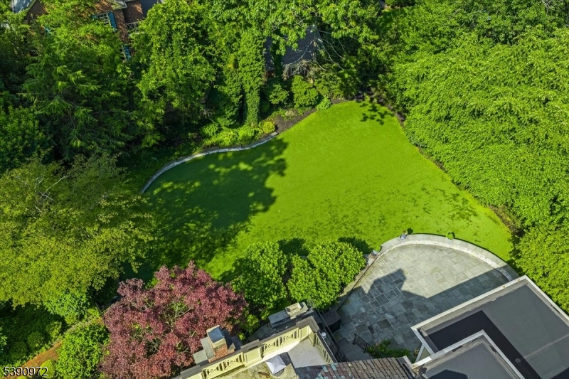 backyard turf