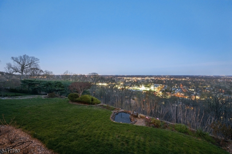 Skyline View