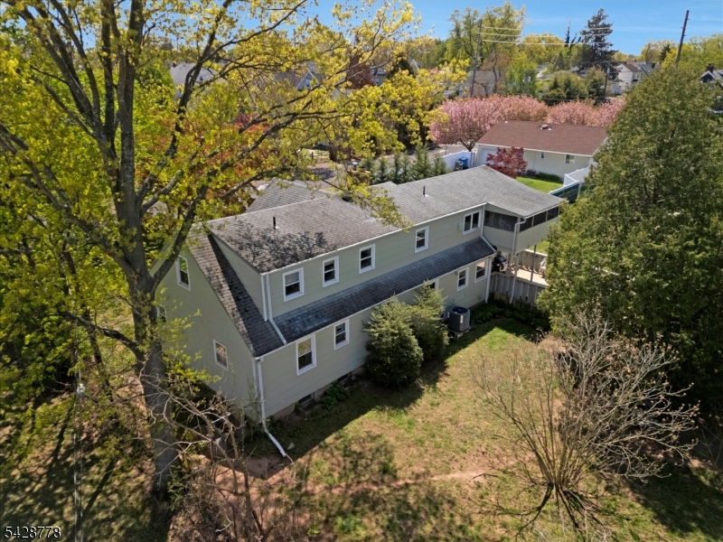 Back view