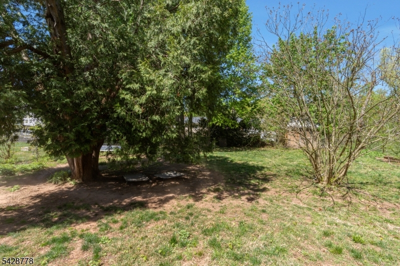 Yard
