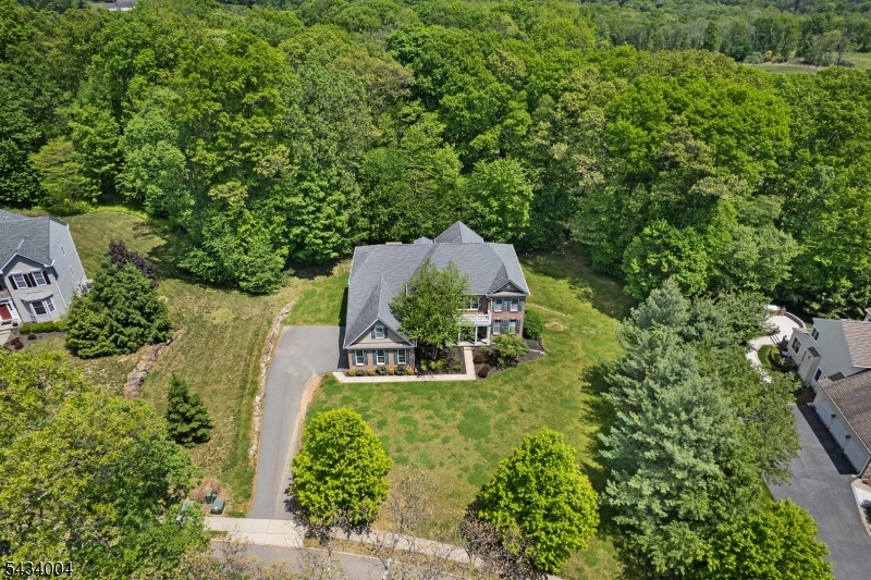 1.22 Acre Lot Beyond the Trees