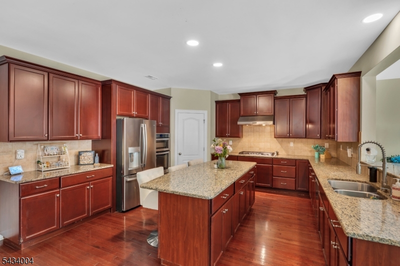 Professional Range Hood