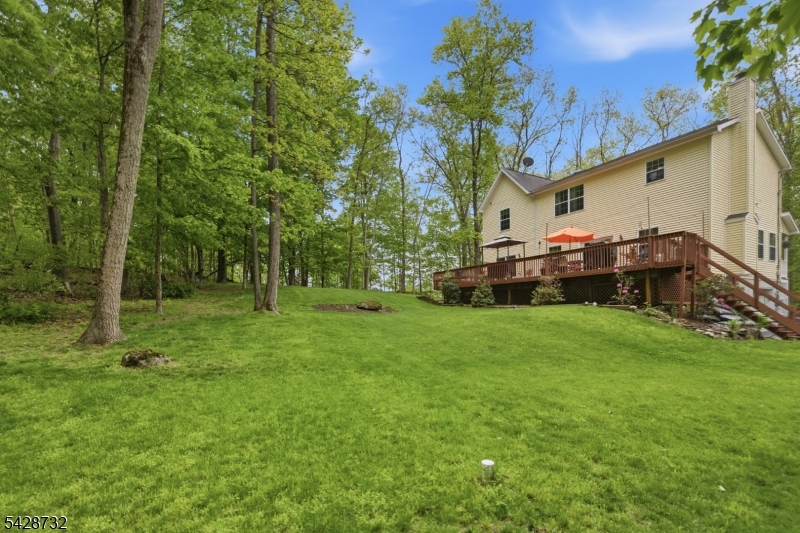 Spacious back yard