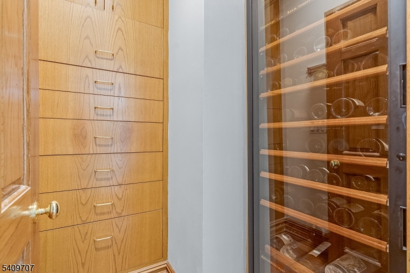 Pantry / wine fridge