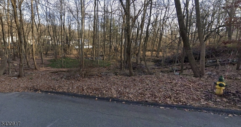 25 Budd Ave, Mount Olive Twp., NJ 07828 Listing Photo  0