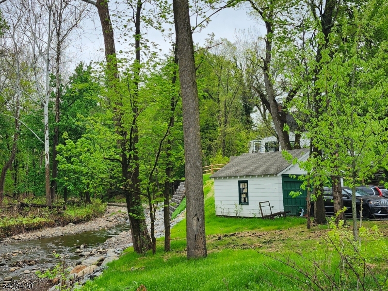 rear of yard