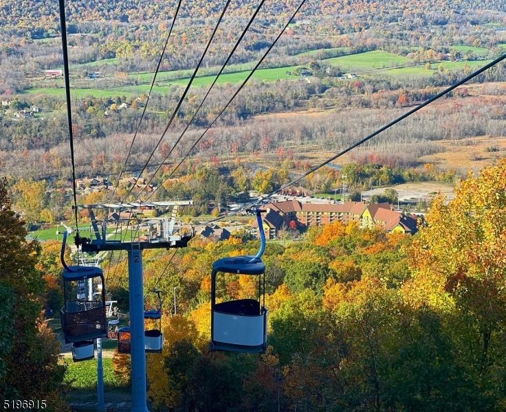 View from Gondola