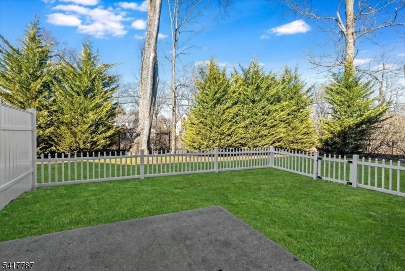 Backyard VS