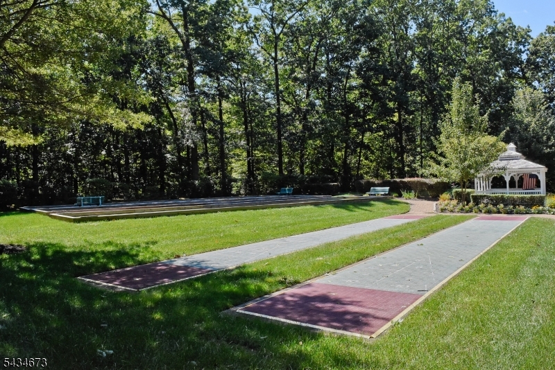 Shuffleboard
