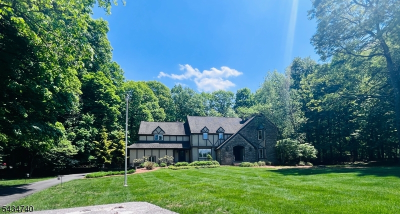 Tudor Colonial