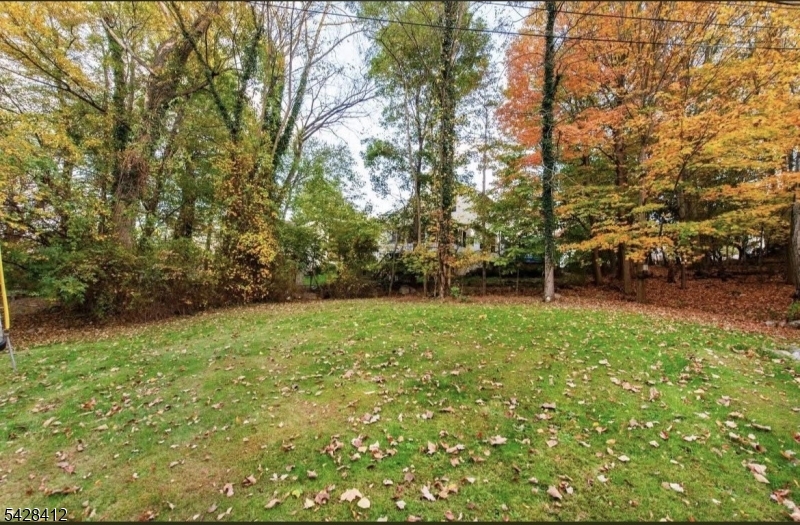 Side Yard