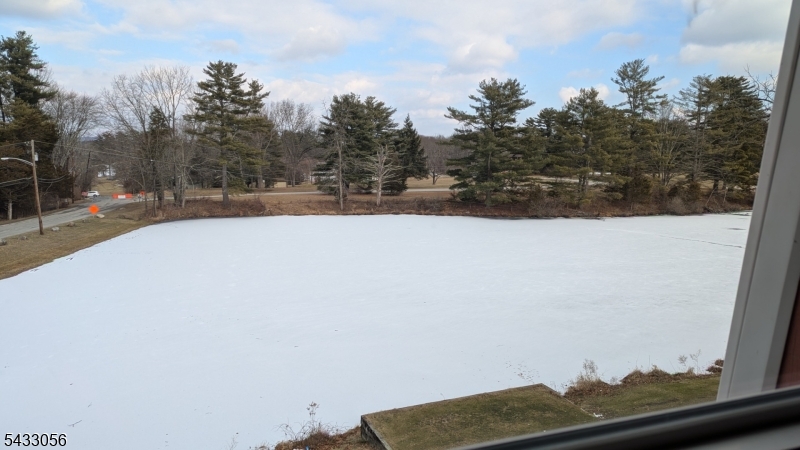 Pond view in winter