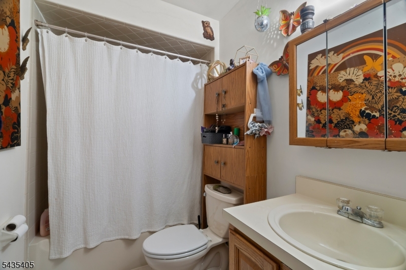 Lower level bathroom