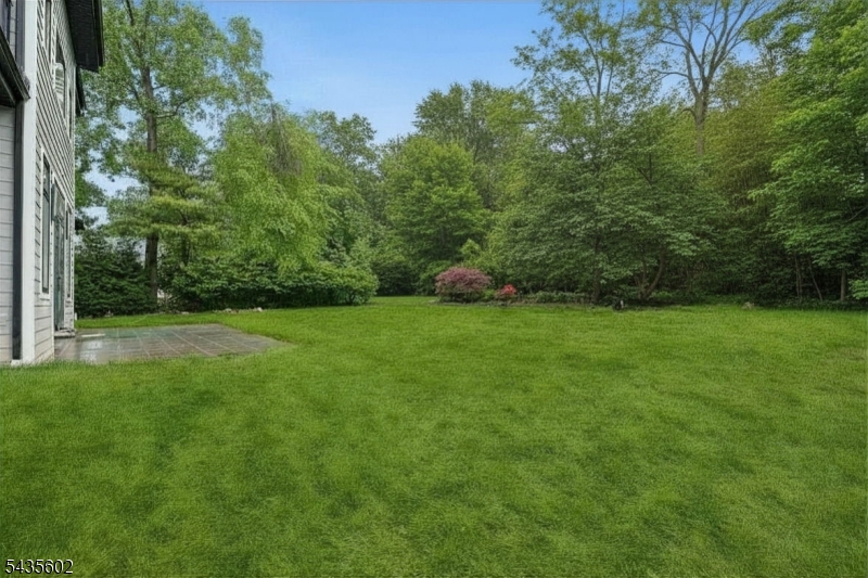 Stunning Backyard