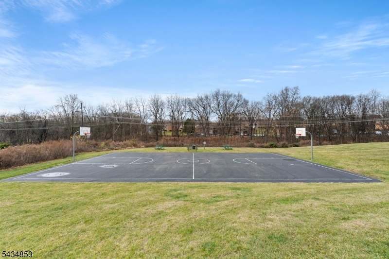 Basketball Court