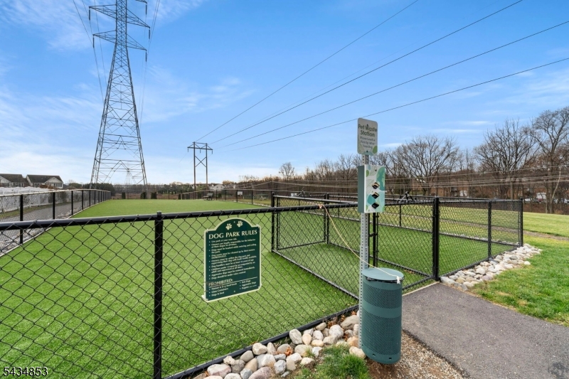 Dog Park