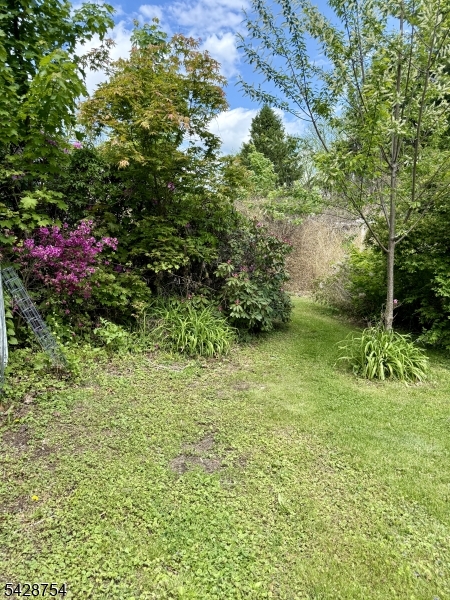 Rear yard