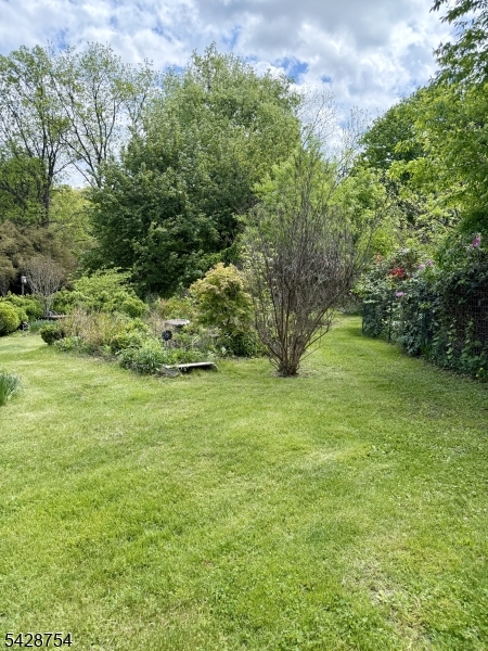 Rear yard