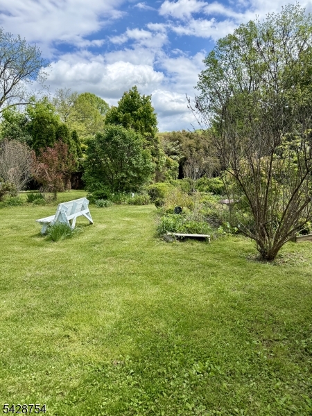 Rear yard