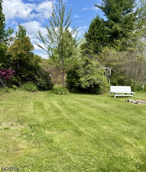 Rear yard
