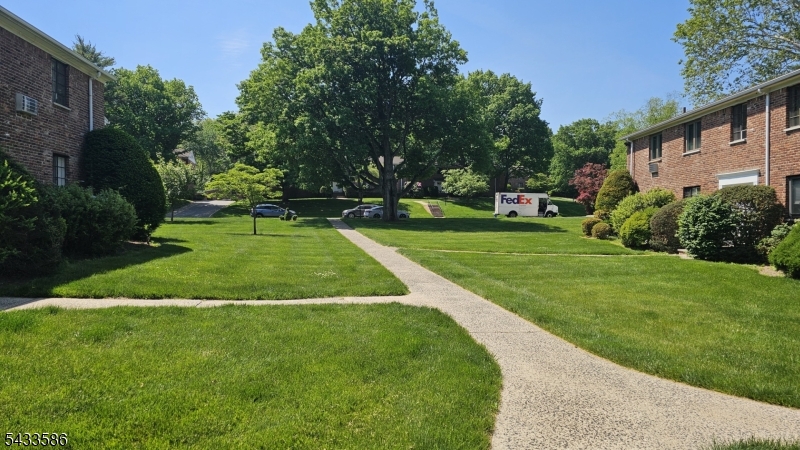 Front Lawn