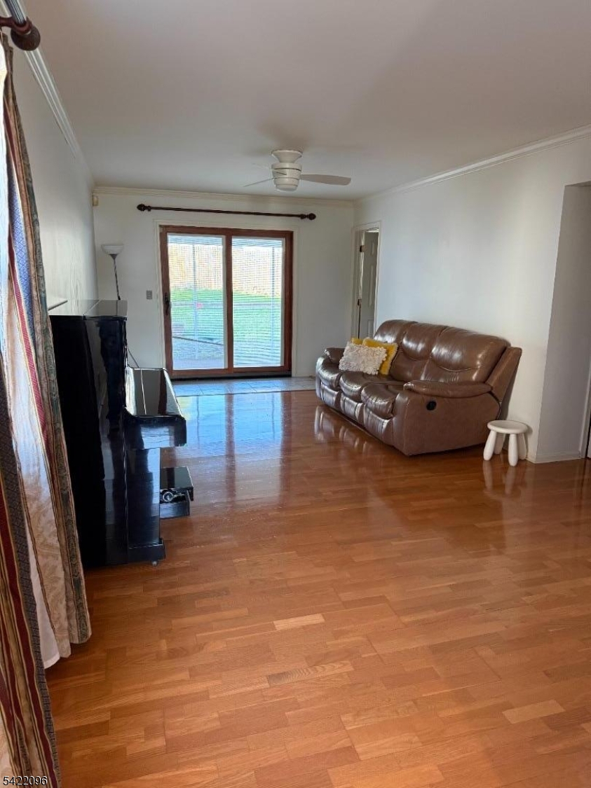 Ground Floor Family Room