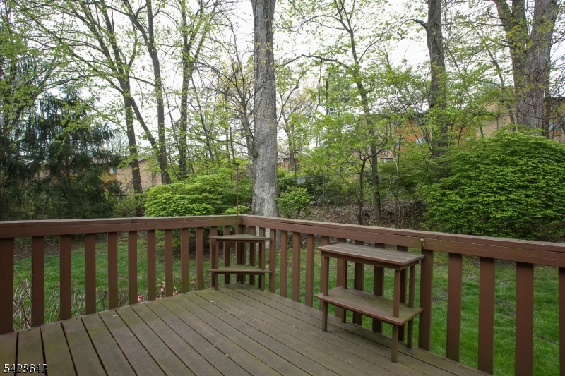 Rear Deck