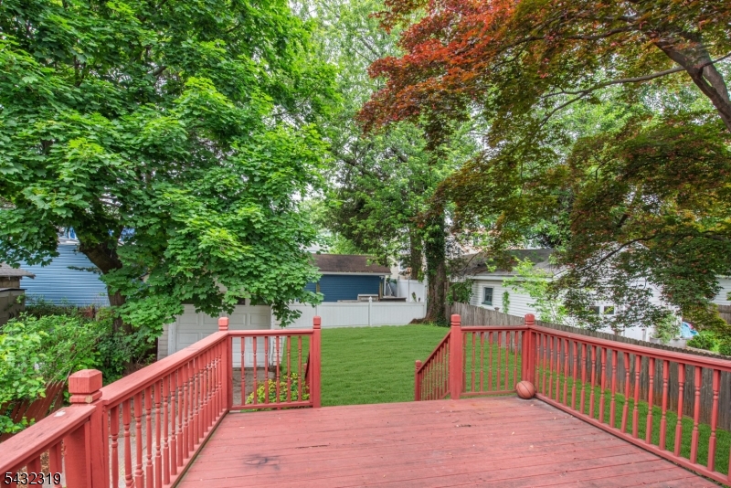 Deck/Yard