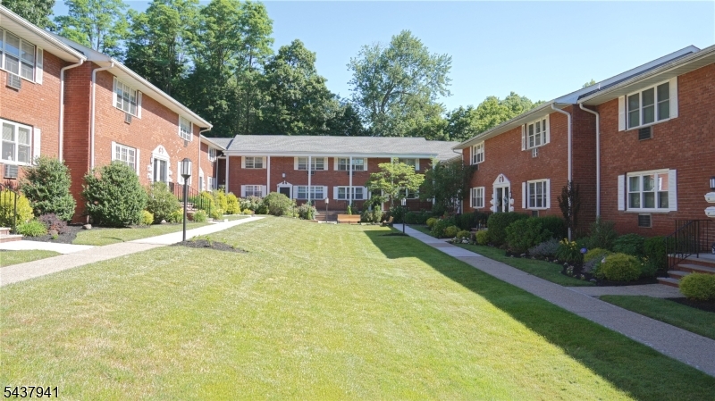 45 Wilfred St 19