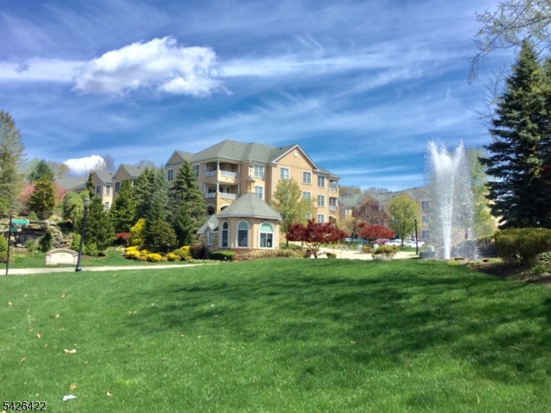 Beautiful Fox Hills