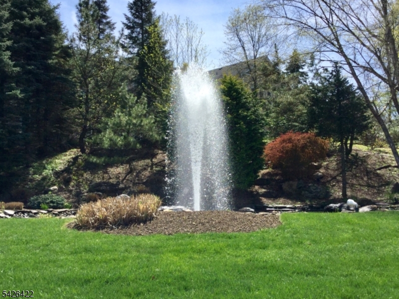 Water Geyser