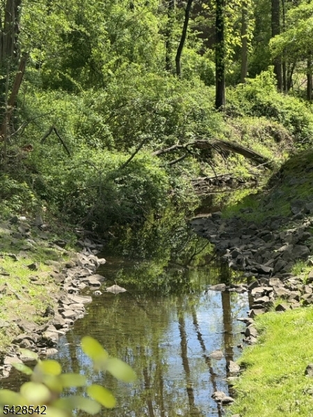 Pretty Brook