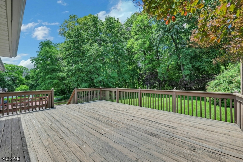 Large Deck