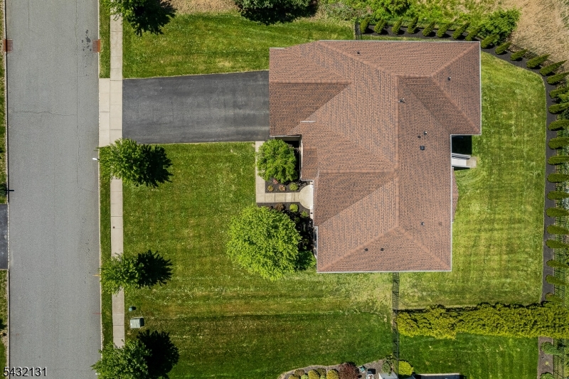 Drone View