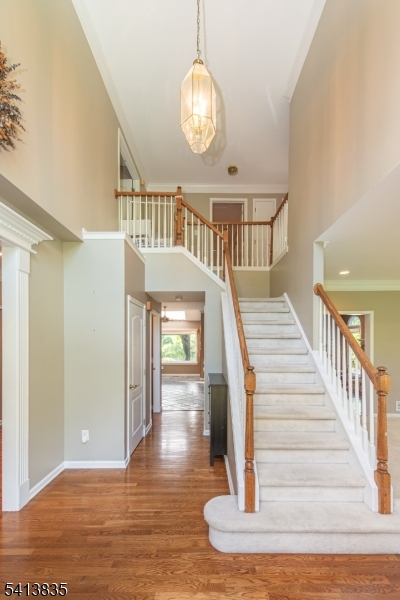 9 Tracey Ln