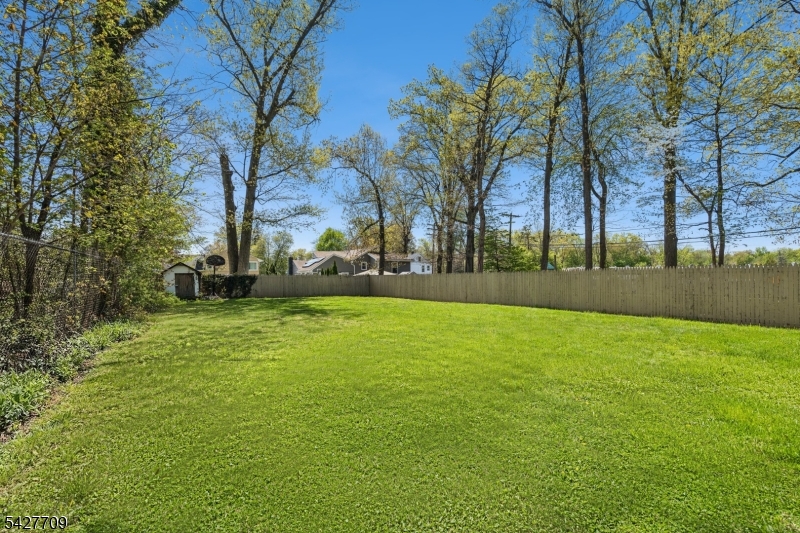 Rear Exterior