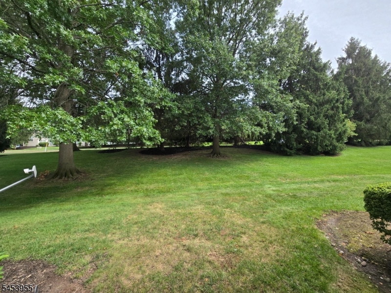 113 Gregory Ln