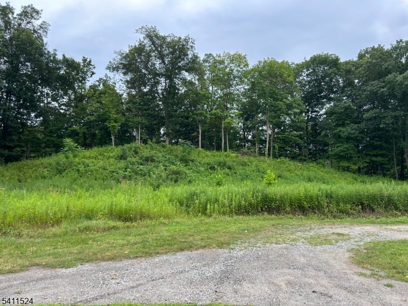 112 Scott Rd, Franklin Boro, NJ 07416 Listing Photo  0