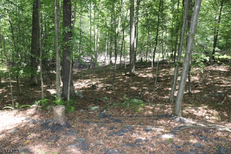 Some Area Cleared