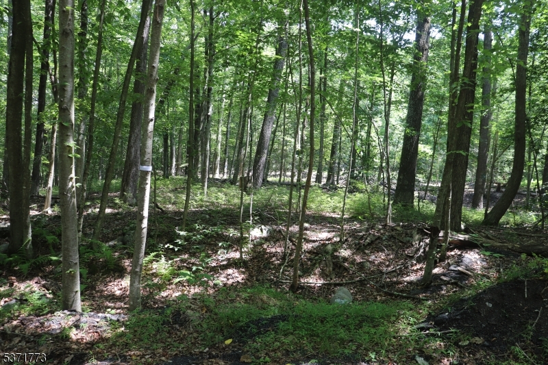 Some Area Cleared