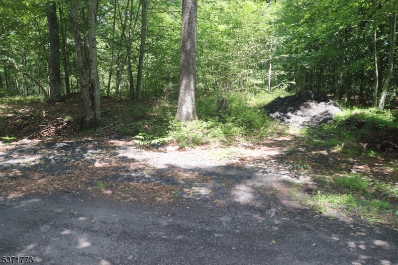 Possible Driveway Entranc Area