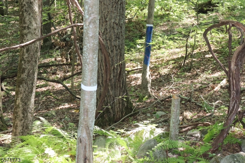 NW Corner Marks