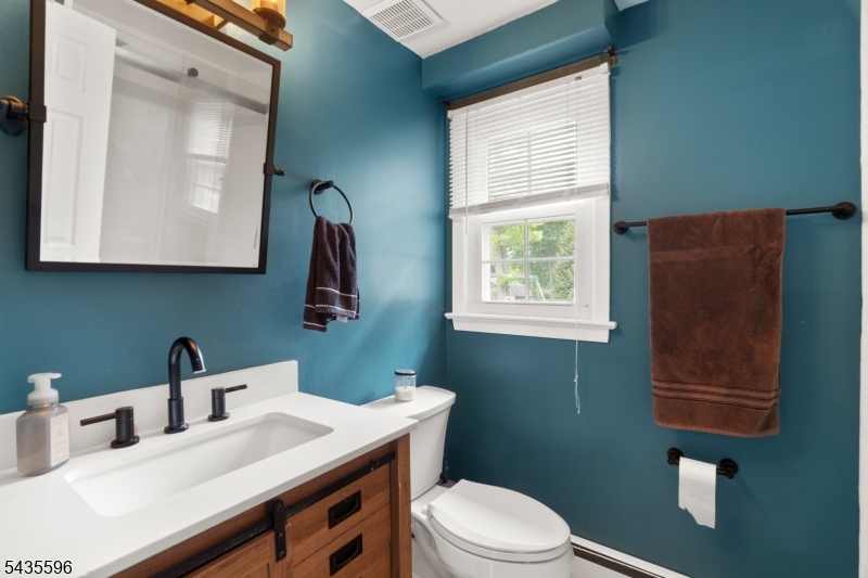 Lower Level Bathroom