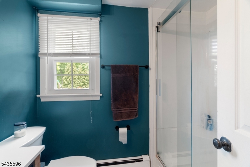 Lower Level Bathroom