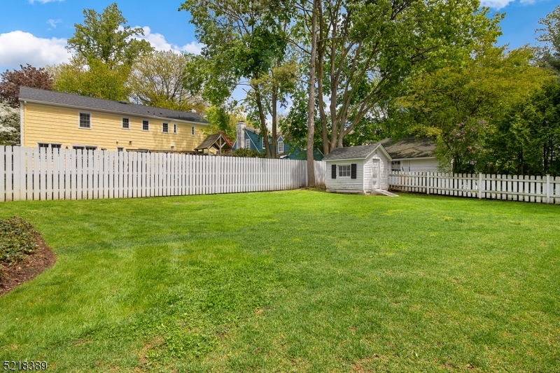 Totally Level, Fenced Backyard